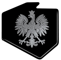 5x NAKLEJKA WLEP ZNACZEK TATTOO NA AUTO FOLIA SAMOPRZYLEPNA GODŁO NIKIEL ŻYWICA 3D 5,3 x 5,4 cm 1/06501