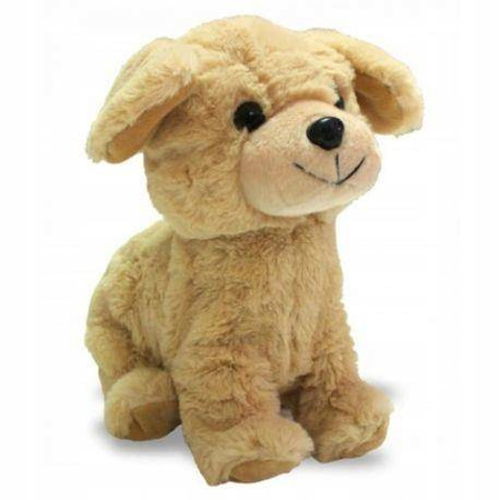 OUTLET Interaktywny pies Hafik Golden Retriever brak kart
